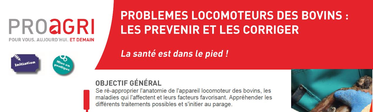 Illustration de l'actualité